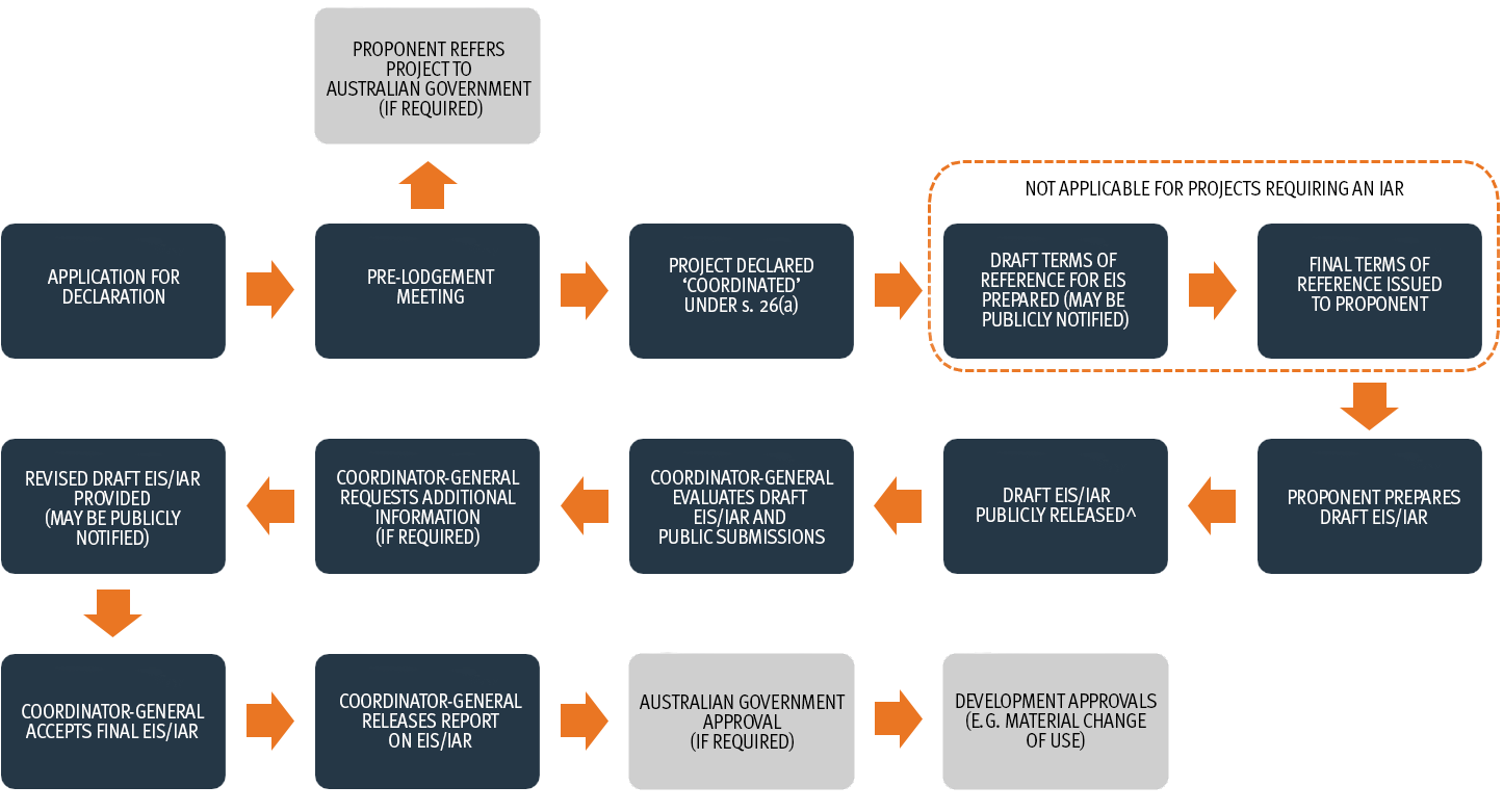 EIS process flow chart